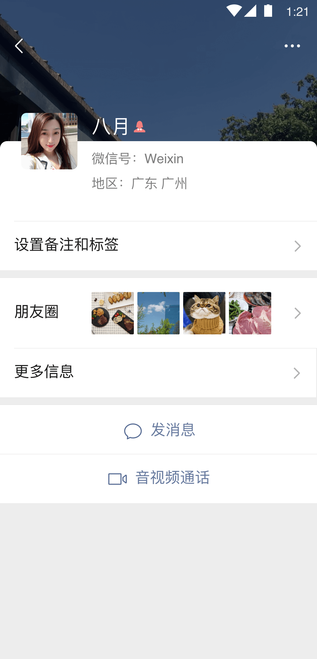 沈阳梦蝶截图